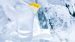 glass of vodka with lemon and ice