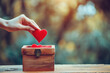 © Anastasiia - Hand Puts Red Heart Into Donation Box