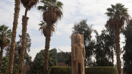 Wall Mural - Gigantic statue of Ramesses II carved in limestone, Mit Rahina Museum of Memphis, Egypt.