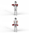 189 Dumbbell Revers grip Biceps Curl. 3D Anatomy of fitness and bodybuilding. An outstanding display of male muscles. Targeted muscles are red. No background. Png.
