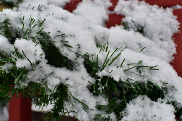 Sticker - Snowy Garland