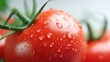 Fresh Tomato on White Background. Fresh, Healthy, Healthy Life, Fruit, Vegetable
