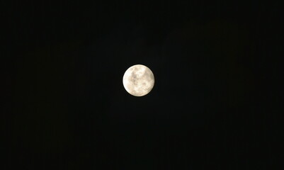Wall Mural - full moon floating on dark sky in night