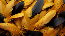 Yellow Feathers On Black Background