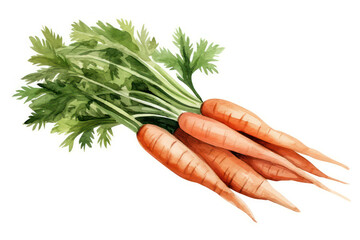 Wall Mural - Carrots vegetables ingredient background healthy food fresh