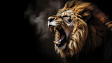 Fototapeta  - Portrait of a Lion roaring on a black background