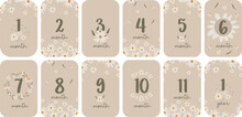 Set Of Monthly Milestone  Anniversary Card For Baby. Vector Printable Postcards With Numbers And Daisies For A Newborn. 1-11 Months And 1 Year.  Print Baby Shower, Baby's Birthday. 