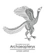 Archaeopteryx, the earliest known bird from the Jurassic period. Black and white line art, perfect for coloring and educational purposes.