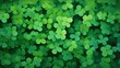 green clover background, St. Patrick's day