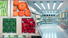 Warehouse Refrigerator Vegetables. Pumpkins And Cucumbers In Wooden Boxes. Supermarket Warehouse Refrigerator. Cooling Chamber With Boxes On Shelves. Warehouse Refrigerator For Storing Vegetables