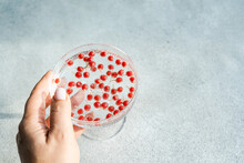 Elegant Hand Holding A Glass Plate With Red Berries