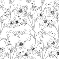 Wall Mural - Toile art Floral vector line art seamless pattern flowers of Clematis black on white. Hand drawn background.Monochrome. Textiles, paper, wallpaper decoration