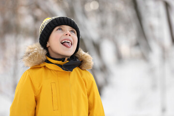 Sticker - Cute little boy having fun in snowy park on winter day, space for text