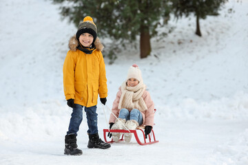 Sticker - Little boy pulling sledge with his sister through snow in winter park