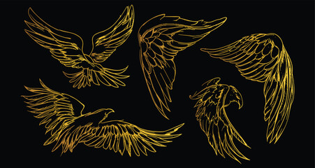 wing illustration vector set, golden wings graphic element, thin line art, angelic feathered vector, bird wing 