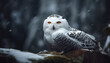 Animal in nature, beak, feather, bird of prey, close up, looking generated by AI