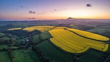 Sunset Over Rape Fields And Farms From A Drone, Devon, England, United Kingdom, Europe