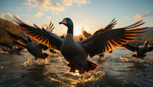 Flying Duck Reflects Beauty In Nature, Freedom In Motion Generated By AI