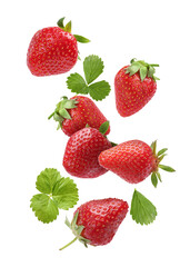 Wall Mural - Fresh ripe strawberries and green leaves falling on white background