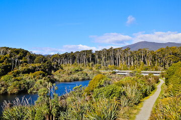 Tauparikaka Marine Reserve on Ship creek walks West Coast New Zealand 