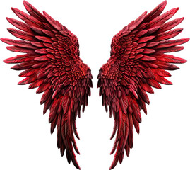 Wall Mural - Red angel wings isolated on transparent background