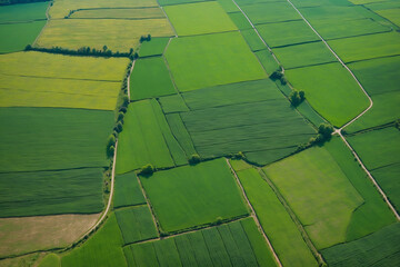 Wall Mural - Aerial view, bird view, countryside green farm field