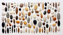 A Diverse Assortment Of Seeds Scattered Randomly On A Clean, White Surface, Their Different Shapes And Sizes Creating An Intriguing And Visually Dynamic Arrangement, Evoking Curiosity And Fascination.