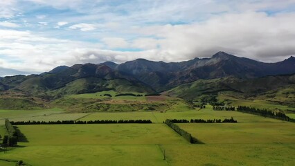 Wall Mural - Scenic landscape aerial panorama over ship agriculture farms in New Zealand 4k.
