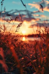 Aufkleber - A beautiful sunset casting a warm glow over a field of green grass. Perfect for nature or landscape backgrounds