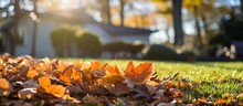 Clean Autumn In The Backyard Garden. Pile Of Fallen Leaves On The Lawn In Autumn Park. Autumn Gardening