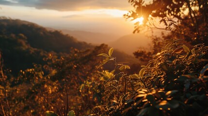 Poster - Sun setting over distant mountains. Perfect for nature and landscape photography