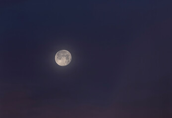 Wall Mural - full moon on dark blue sky