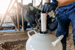 Tank liquid nitrogen with bull sperm, Concept banner artificial insemination of cows. Veterinary of industry dairy livestock