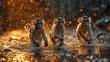 Monkey family running out from the wild, blured background with gold light, fantacy concept for year of monkey,