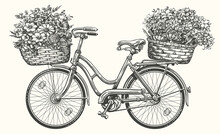 Hand Drawn Retro Bicycle With Spring Flowers And Plants In Basket. Vintage Sketch Vector Illustration
