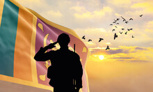 Silhouette Of A Soldier With The Sri Lanka Flag Stands Against The Background Of A Sunset Or Sunrise. Concept Of National Holidays. Commemoration Day.