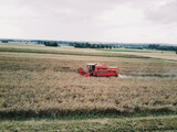 Kombajn, koszenie zbóż, żniwa, zbiór ziarna. 