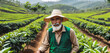 man at a coffee plantation harvesting coffee.