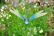 A dragon fly decoration in a garden