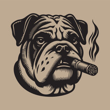 Bulldog Smokes A Cigar.  Beautiful Vintage Engraving Illustration, Emblem, Icon, Logo. Black Lines