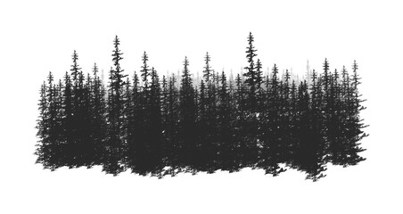 Wall Mural - Dark forest