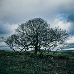 Poster - Timeless Elegance of Cave Dale - Peak District Vistas