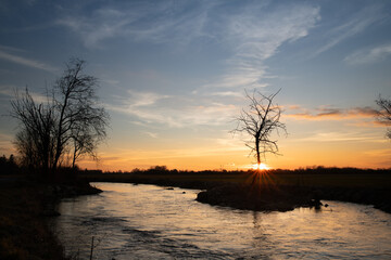 Wall Mural - The sun sets behind a bare tree. It is evening. The horizon in the background. The sky is blue and orange. The sun's rays are shining. Water flowing in the foreground