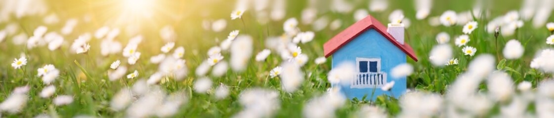 Model of a blue wooden house standing on the field with blossoming windflower.