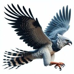 Harpy Eagle, 鹰, हार्पी ईगल, aguila harpia, Harpie, نسر هاربي, হার্পি ঈগল, орёл, Harpia, Elang Harpy, ハーピーイーグル, 하피 이글