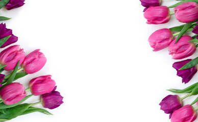 Wall Mural - Pink, purple, violet flowers tulips on a white background with space for text. Top view, flat lay