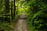 Fototapeta  - Walking the hiking road following the Nakasendo trail between Tsumago and Magome in Kiso Valley, Japan.