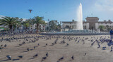 Fototapeta  - Panorama of  Pigeon Square in Casablanca, Morocco.