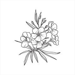 Decorative abstract oleander hand-drawn flower bouquet of line art design. Easy sketch art of Oleander flower outline.
