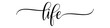Life – Calligraphy brush text banner with transparent background.